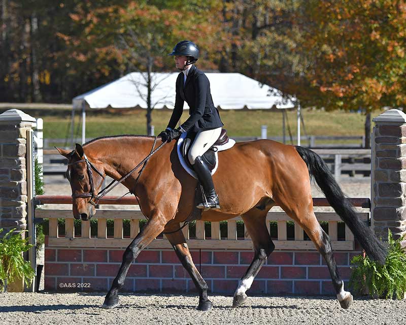 New Direction Events - Hunters at Fairburn.